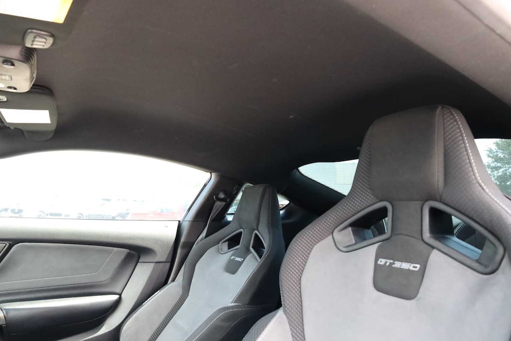 Used 2019 Ford Mustang Shelby GT350 Coupe