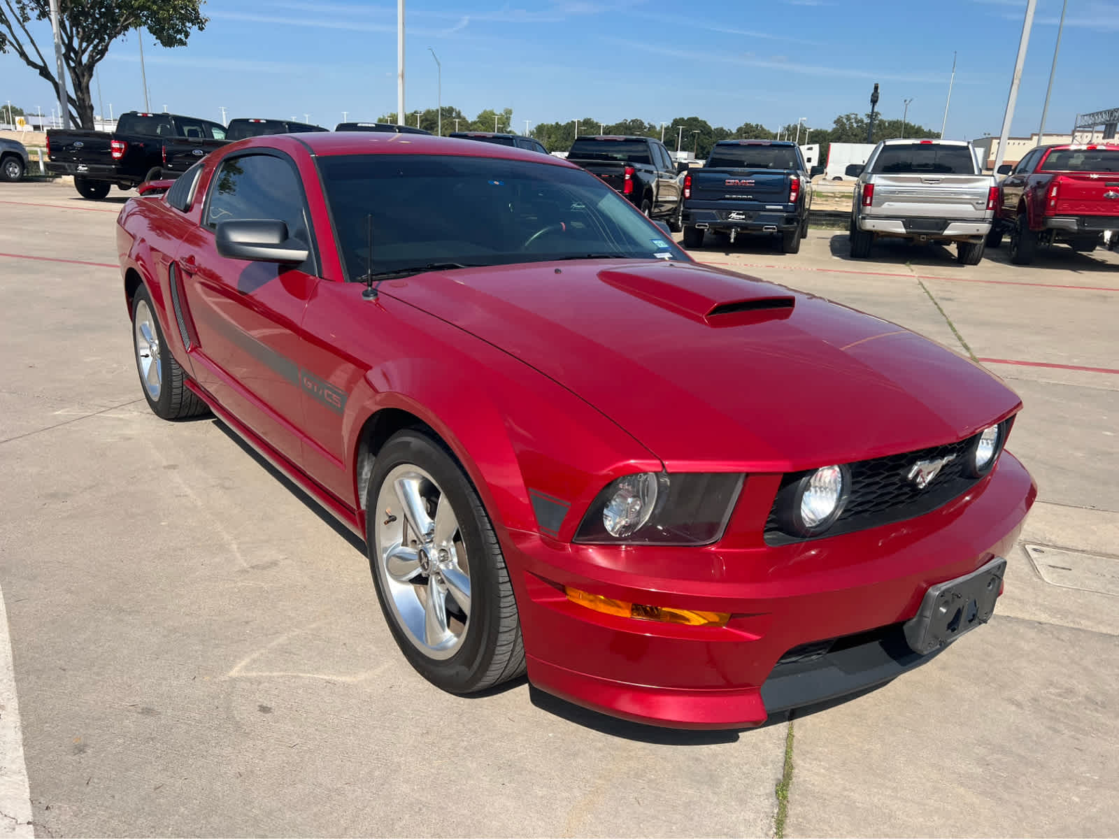 2008 Ford Mustang GT Deluxe photo 3