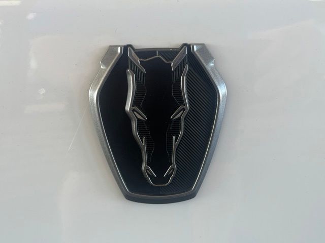 2026 Ford Mustang Dark Horse - Photo 13