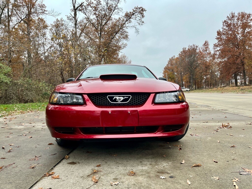 2003 Ford Mustang Base photo 3