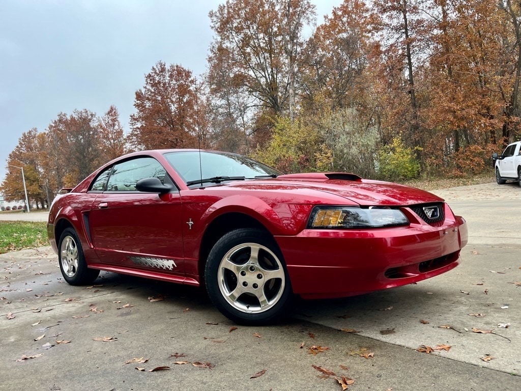 2003 Ford Mustang Standard's photo