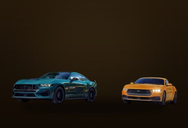 Ford Mustangs (photo for illustration)