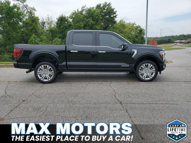 2025 Ford F-150 Platinum photo 2