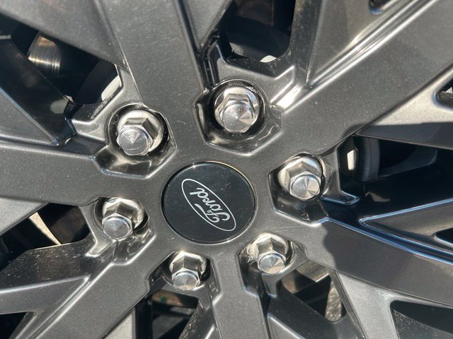 2025 Ford Expedition Platinum - Photo 13