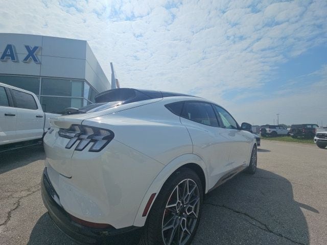 2025 Ford Mustang Mach-E GT - Photo 10