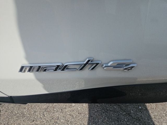 2025 Ford Mustang Mach-E GT - Photo 13
