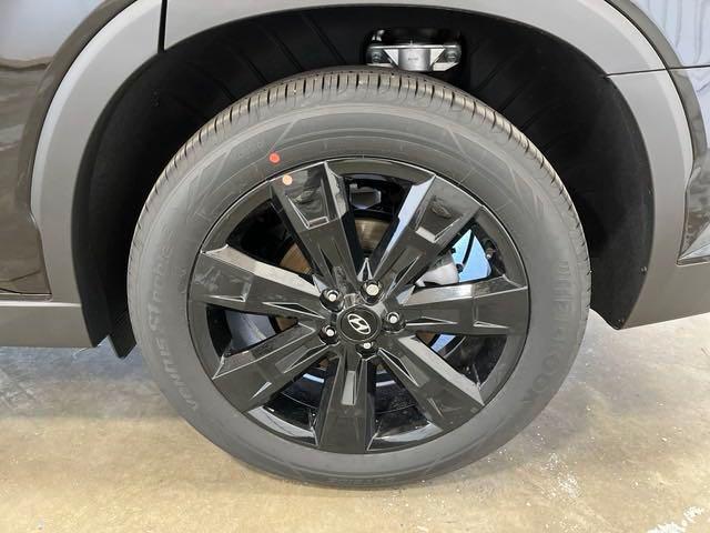 2025 Hyundai Palisade XRT photo 4