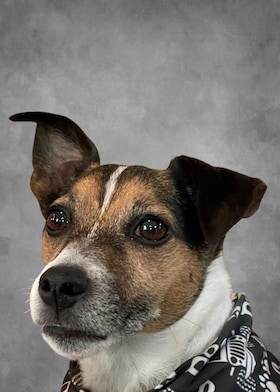 Staff member Rocky Road from ID_695facef57ff