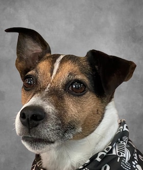 Staff member Rocky Road from 8a38cc11fea1