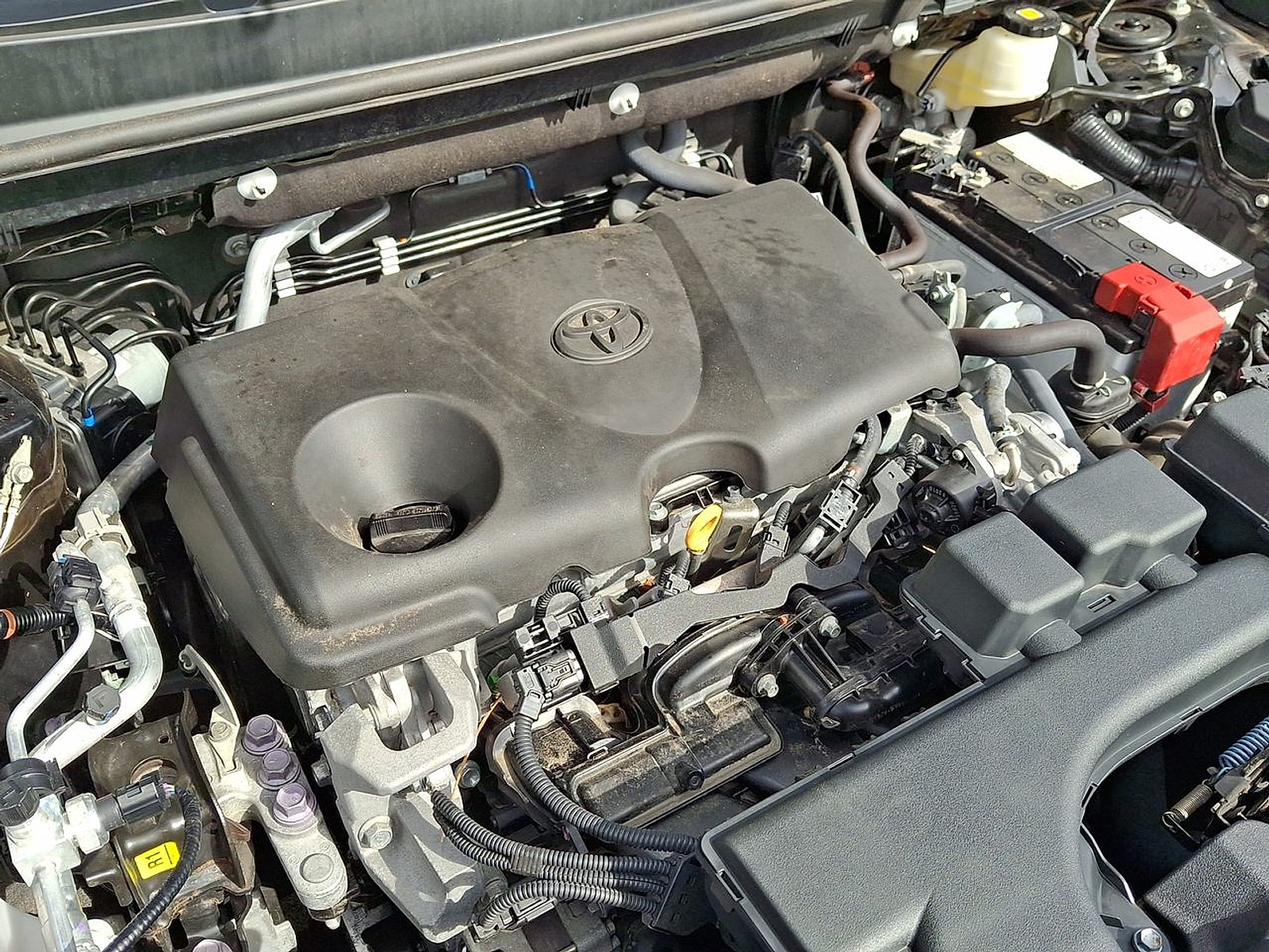 2023 Toyota RAV4 LE - Photo 29