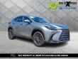 Used 2024 Lexus NX 350  SUV