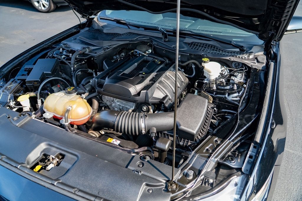 2017 Ford Mustang EcoBoost photo 4