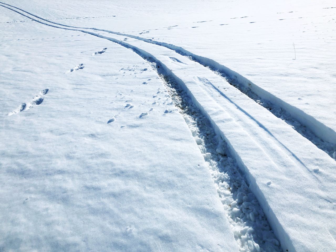 Winter_Tire_Season_Edmonton_3.jpg