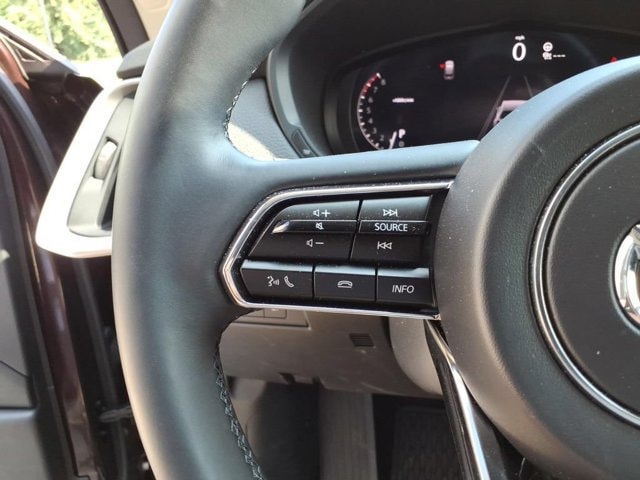2026 Mazda CX-90 Premium Package - Photo 19