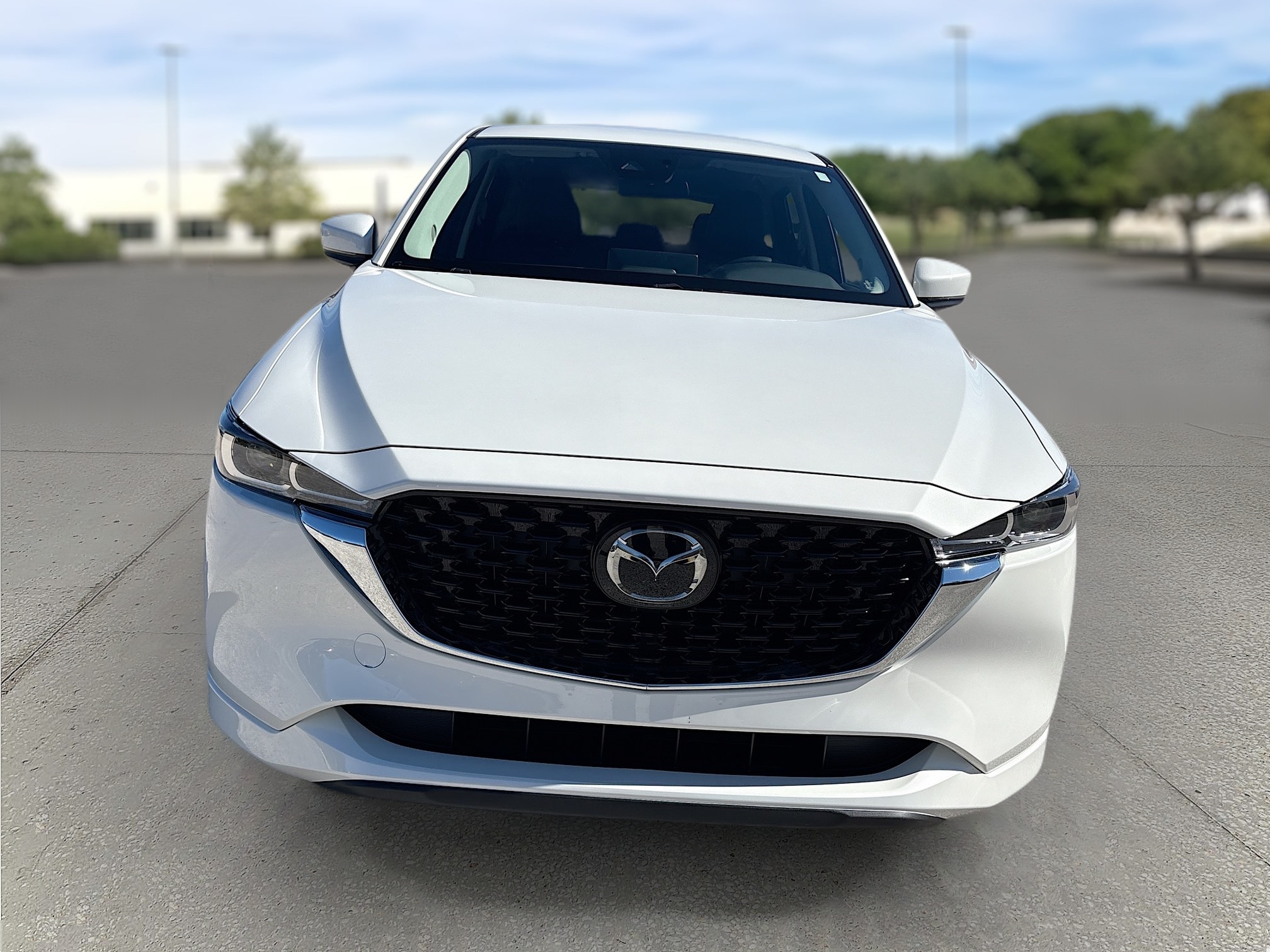 WHAT WE WANT TAKIBIDAIMITAINATABLE (ナラ) Used Mazda Miata Inventory - Ed Howard Mazda