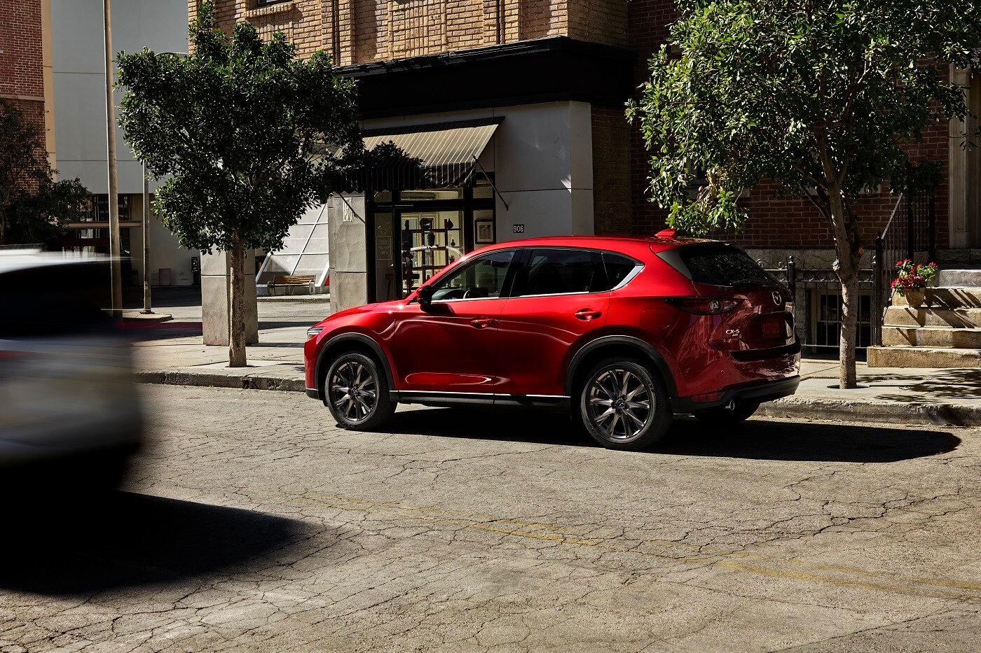 Mazda Dealer near Lutz FL Wesley Chapel Mazda