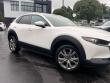 2023 Mazda CX-30 2.5 S Select Package SUV