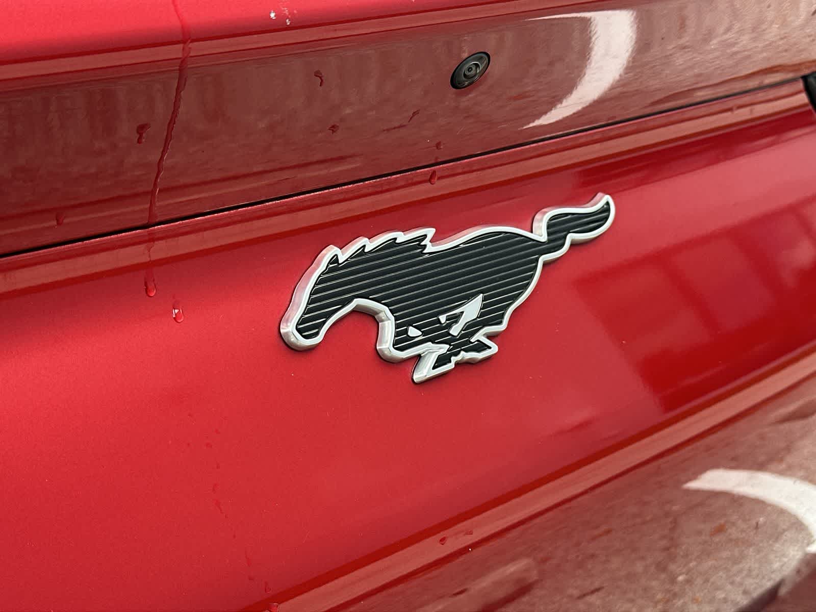 Thumbnail: 2022 Ford Mustang Mach-E - 16