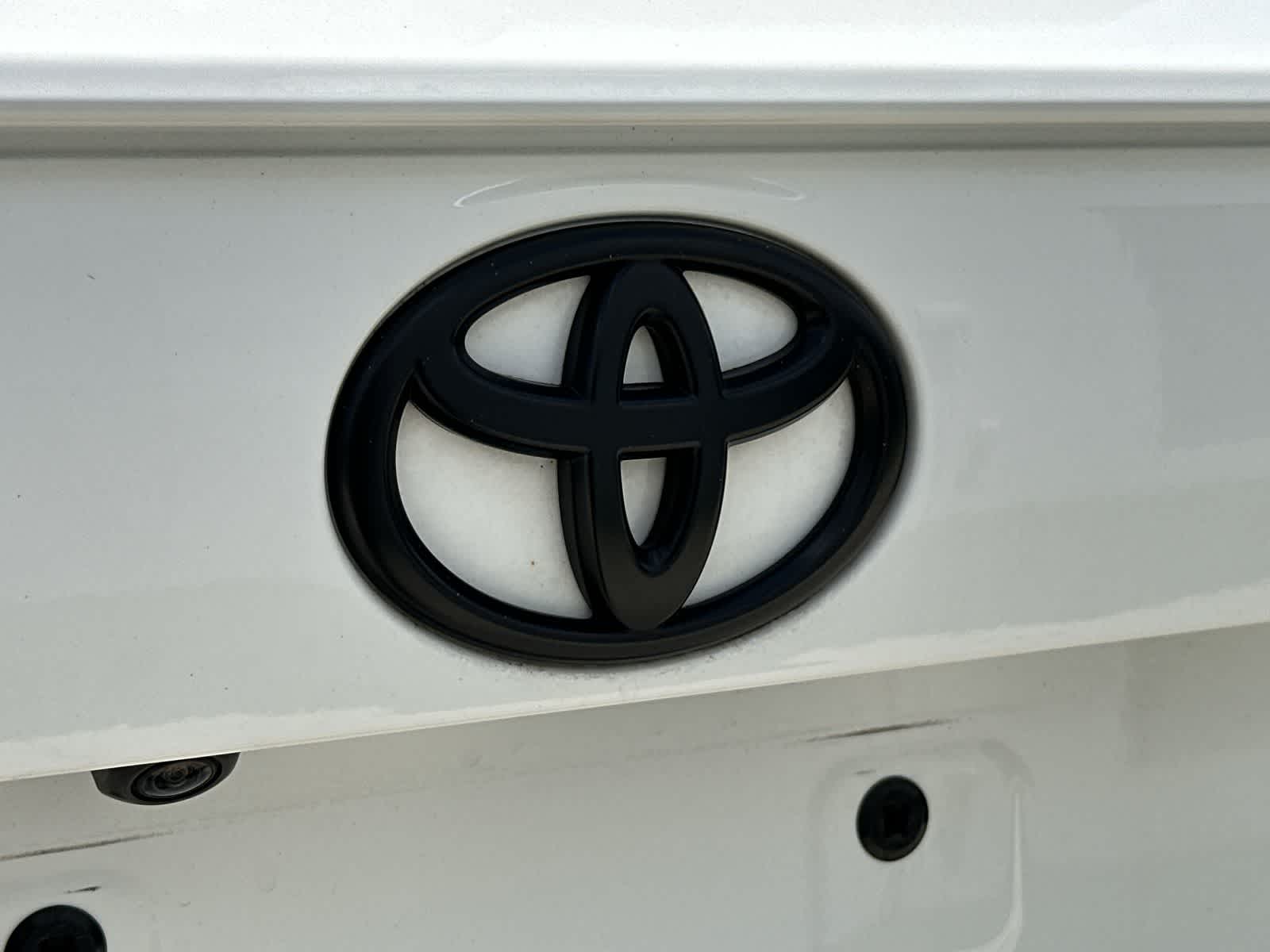 Thumbnail: 2019 Toyota RAV4 - 16