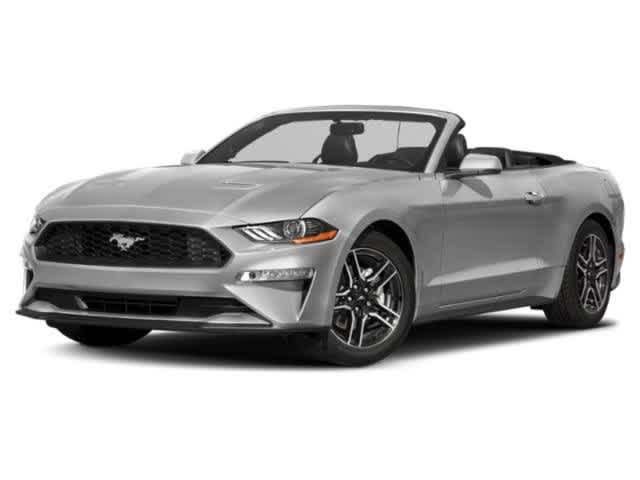 2019 Ford Mustang  -
                  Wesley Chapel, FL