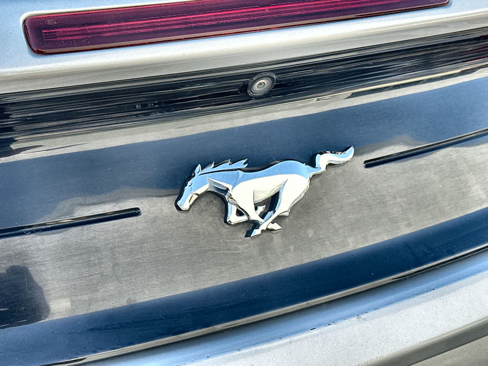 Thumbnail: 2019 Ford Mustang - 15