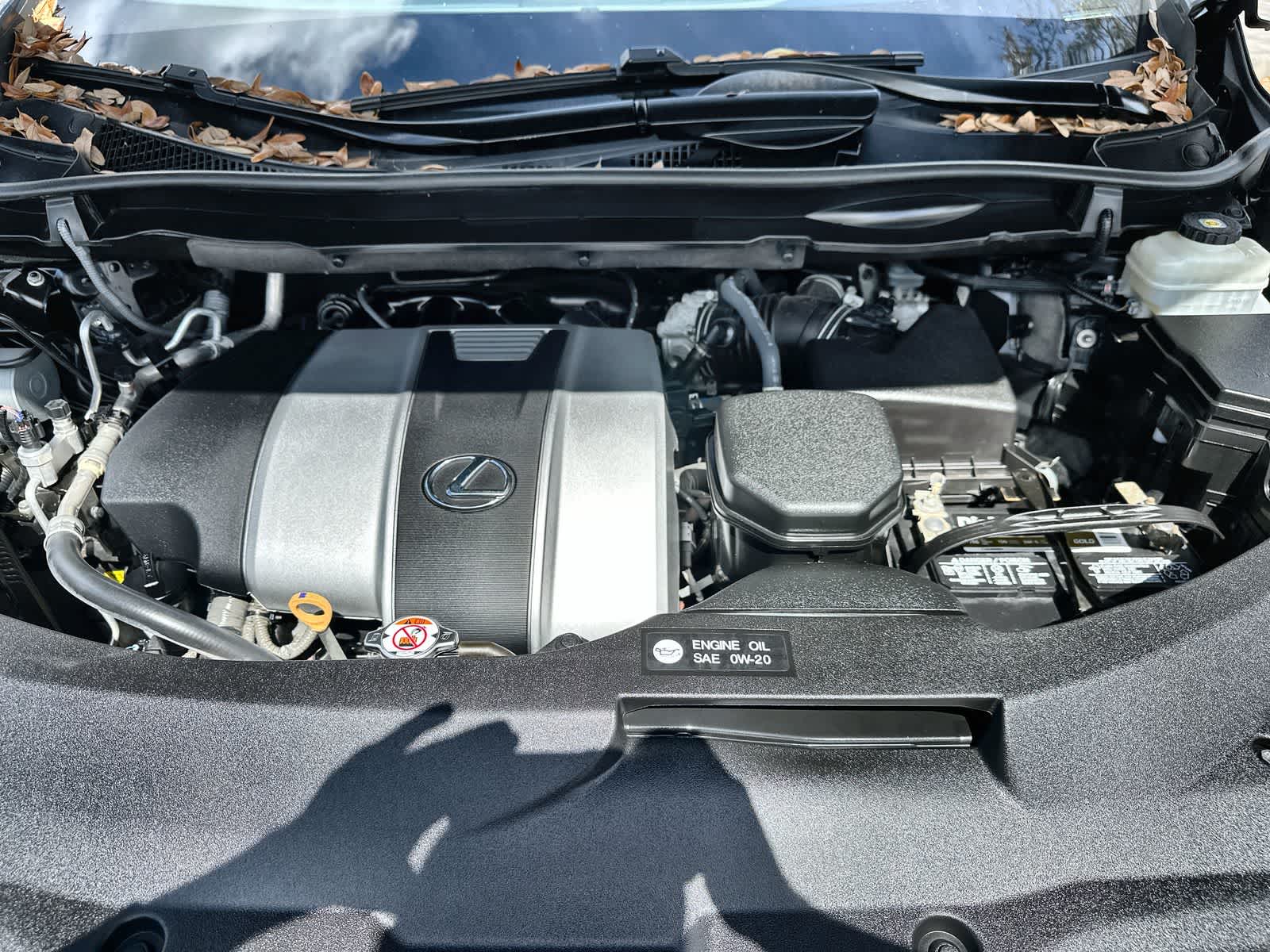 Thumbnail: 2021 Lexus RX - 13