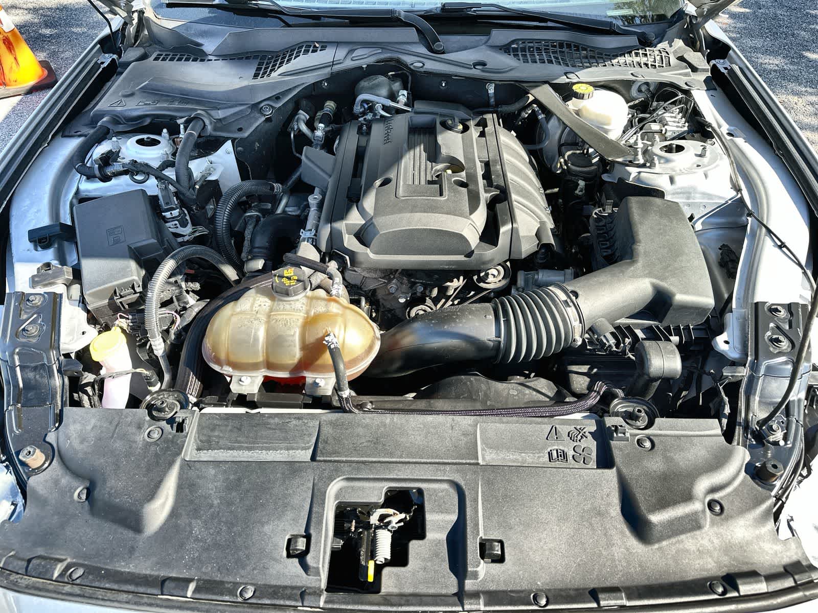 Thumbnail: 2019 Ford Mustang - 13