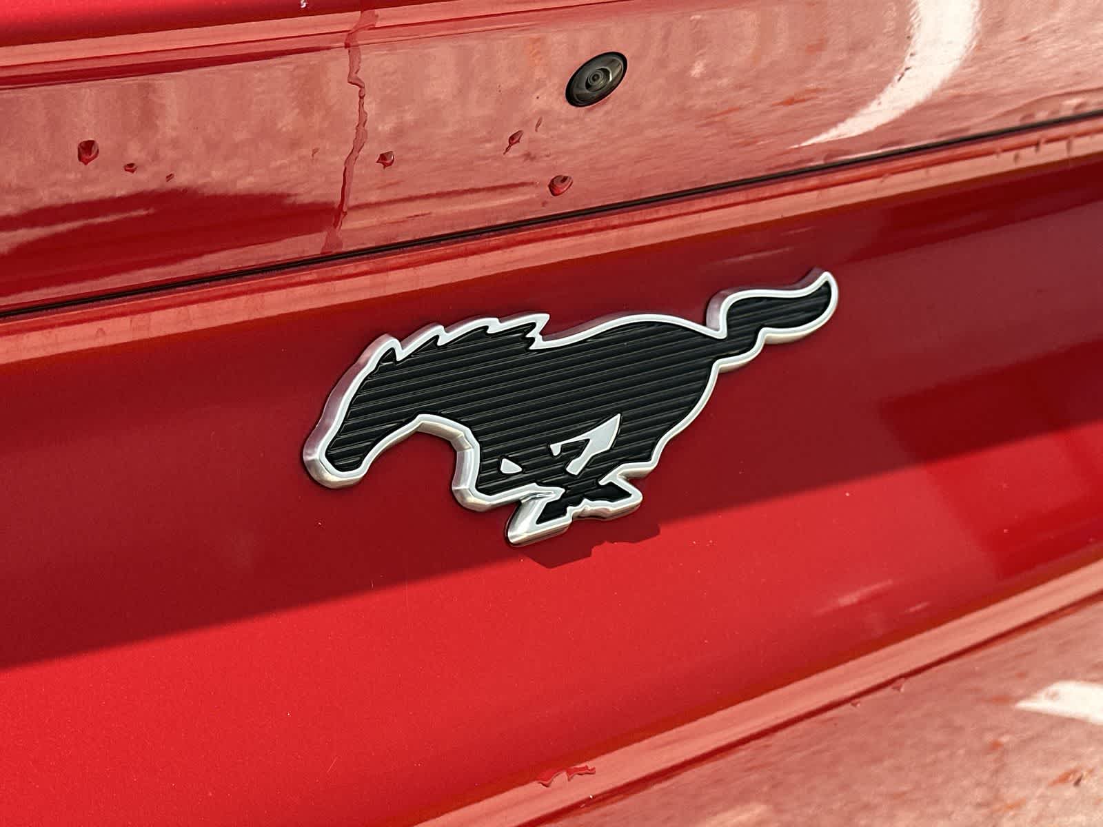 Thumbnail: 2022 Ford Mustang Mach-E - 15