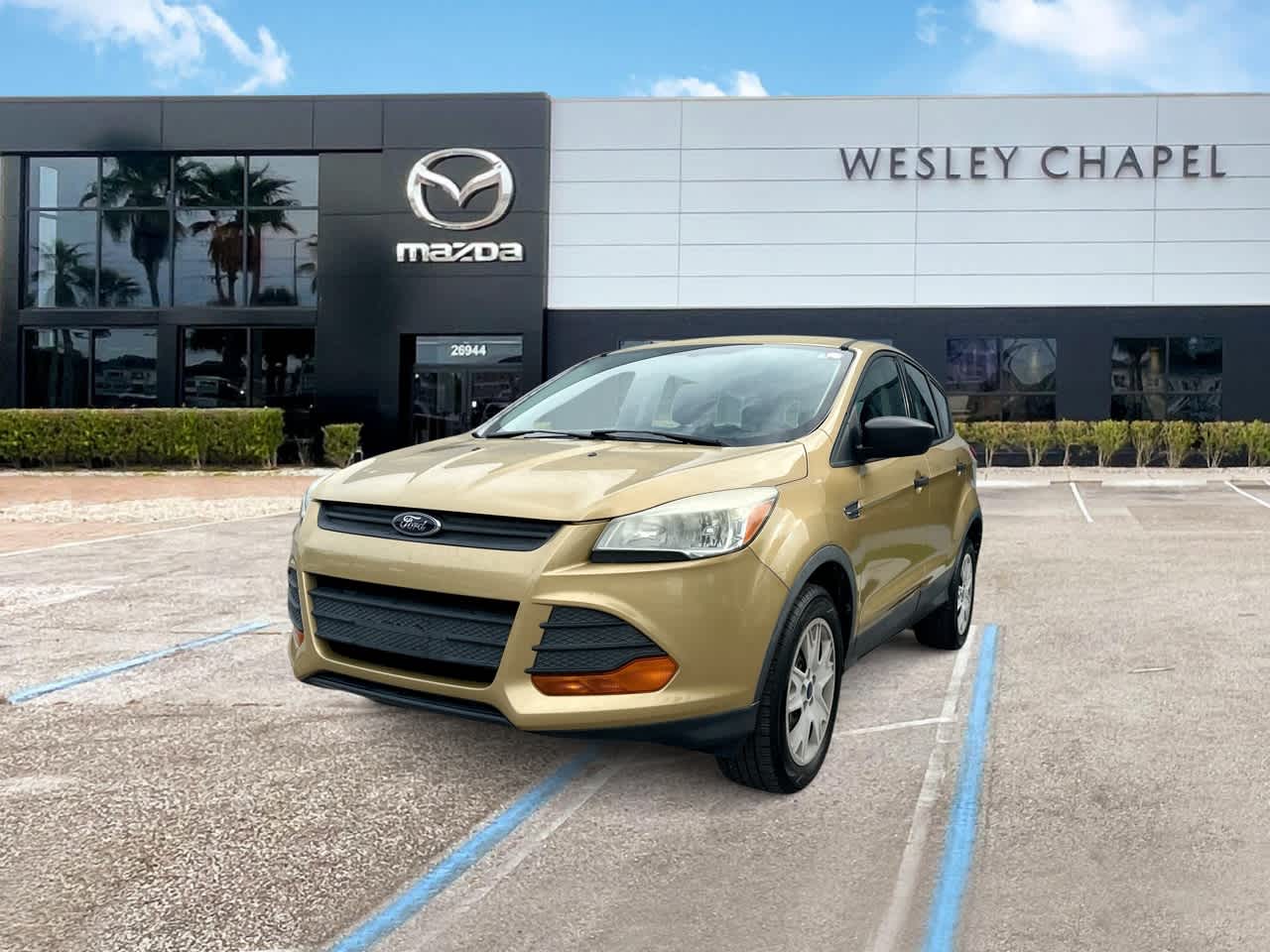 2014 Ford Escape S -
                  Wesley Chapel, FL
