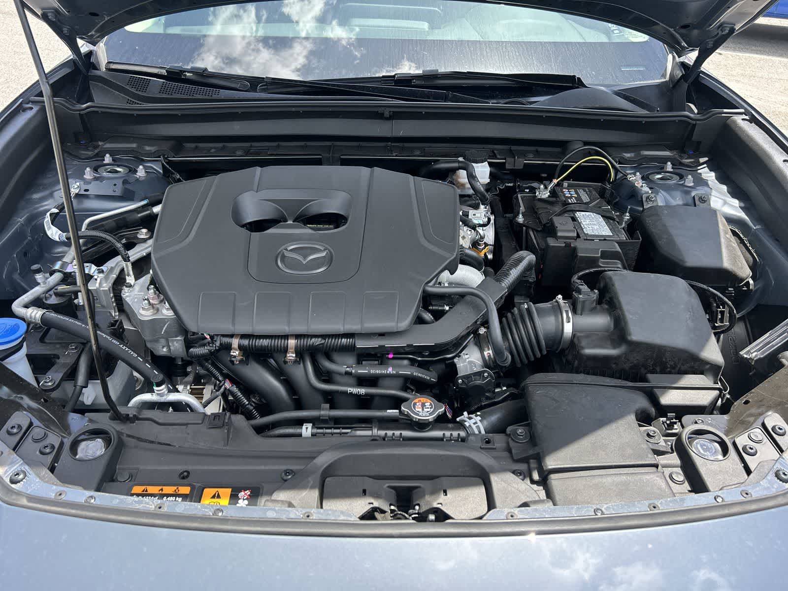 2025 Mazda CX-30 Carbon 10