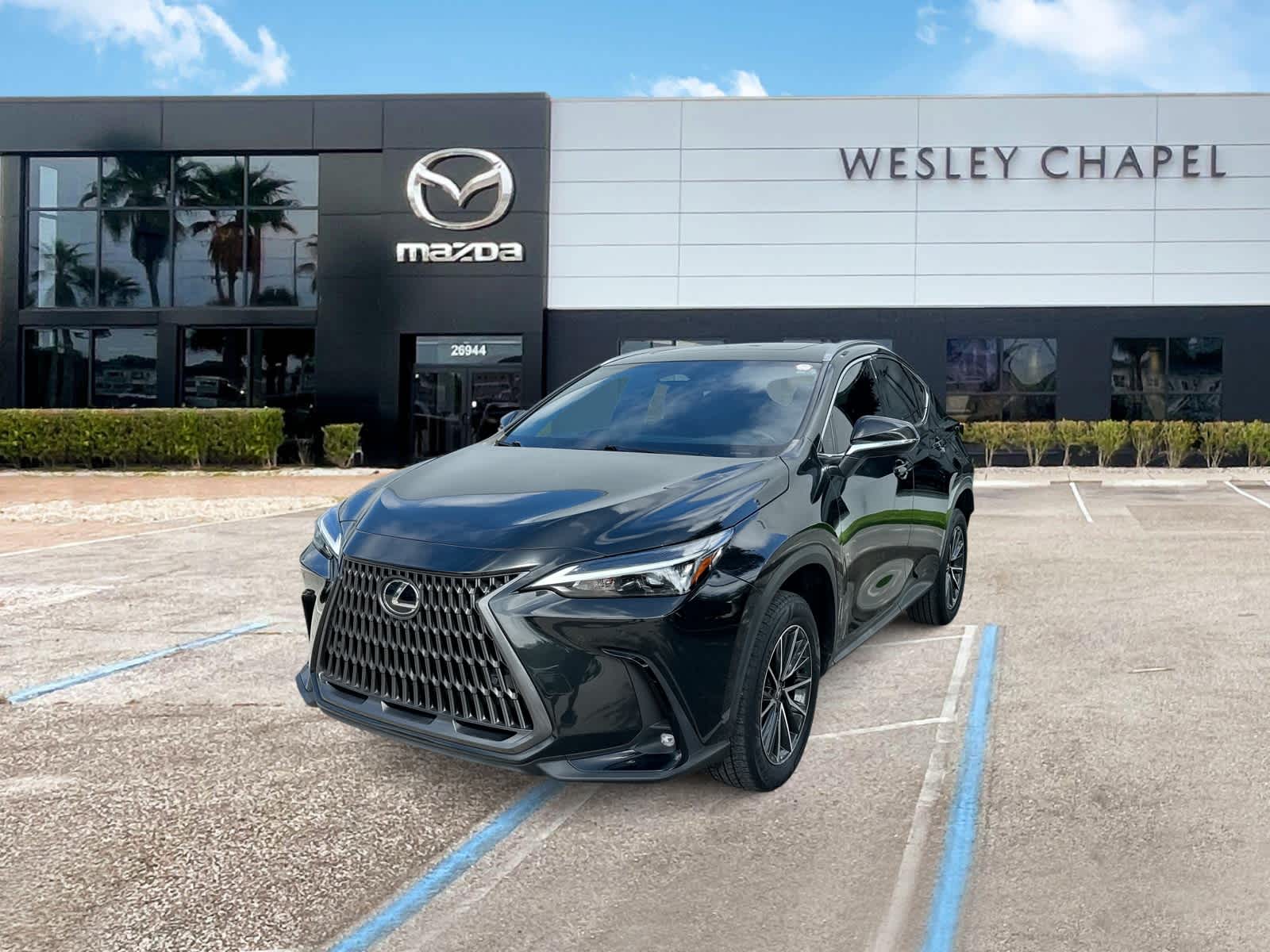 2024 Lexus NX