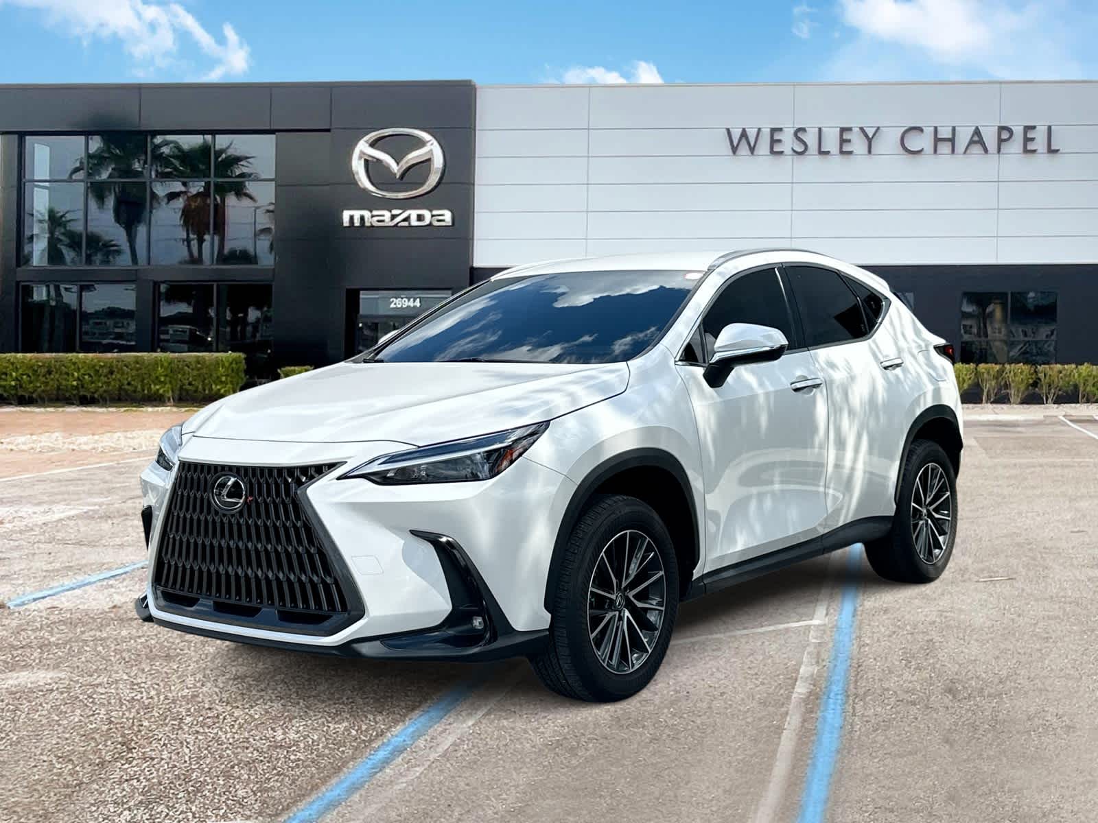 Thumbnail: 2024 Lexus NX - 1