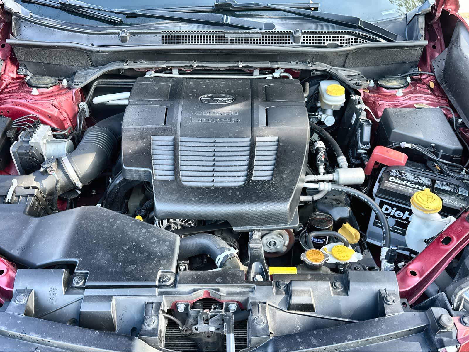 Thumbnail: 2021 Subaru Forester - 13