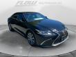 Used 2019 Lexus ES 350  Sedan
