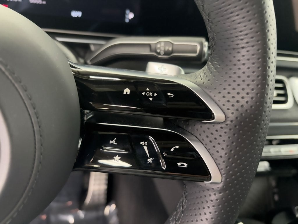 2025 MERCEDES-BENZ GLS-CLASS - Image 13