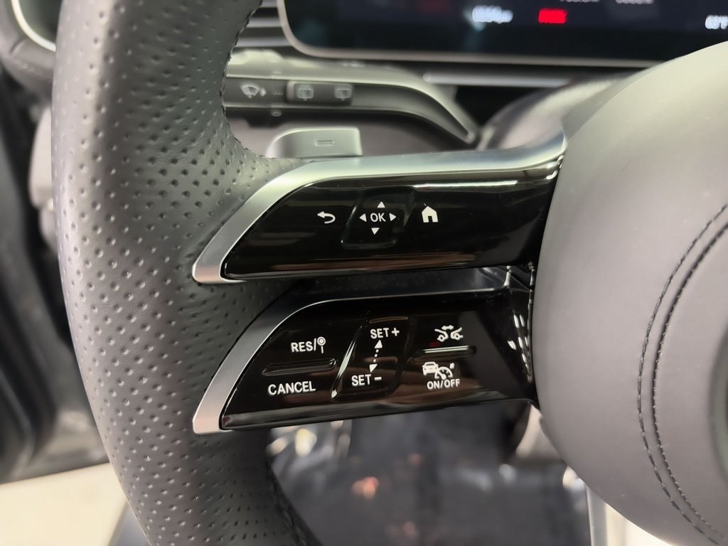 2025 MERCEDES-BENZ GLS-CLASS - Image 11