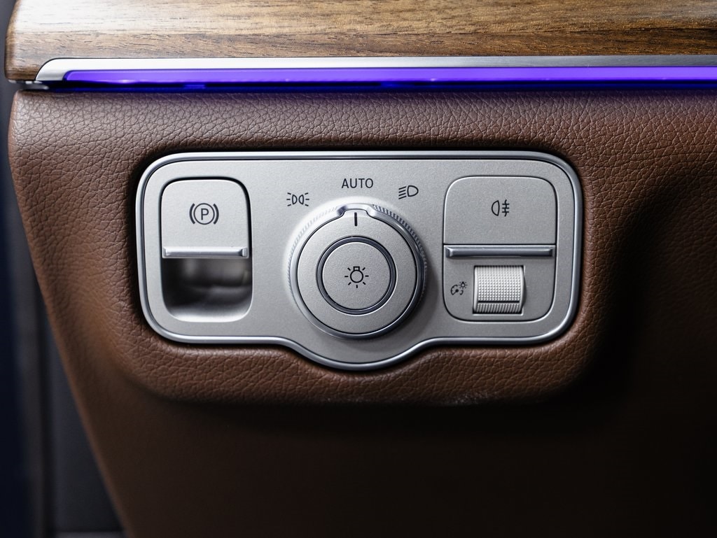 2025 MERCEDES-BENZ GLS-CLASS - Image 10