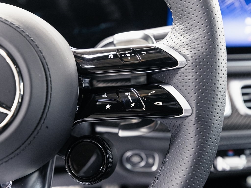 2025 MERCEDES-BENZ GLE-CLASS - Image 13
