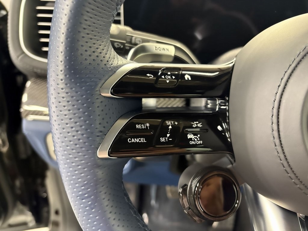 2025 MERCEDES-BENZ GLS-CLASS - Image 12