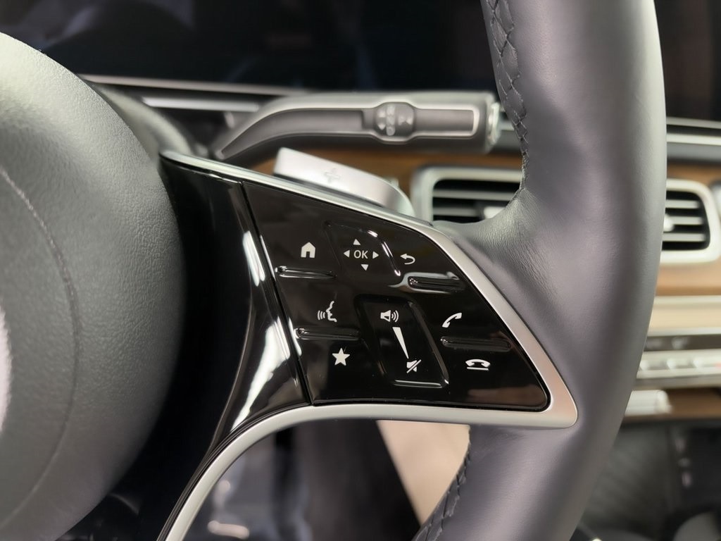 2025 MERCEDES-BENZ GLS-CLASS - Image 13