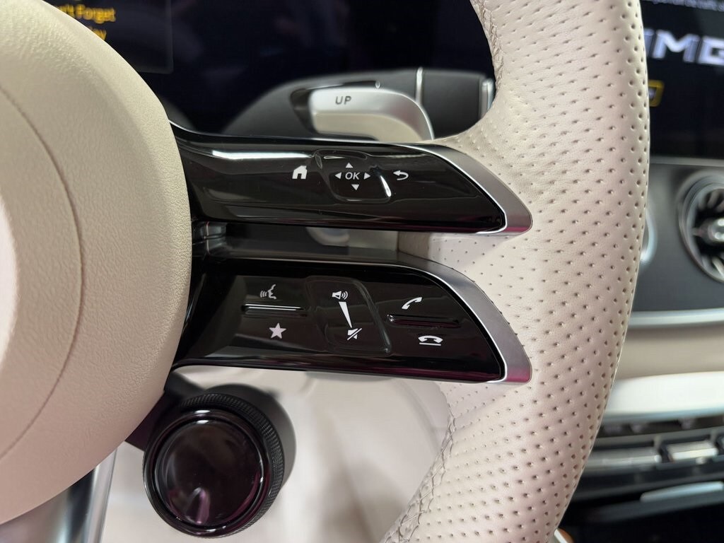 2023 MERCEDES-BENZ AMG GT - Image 14