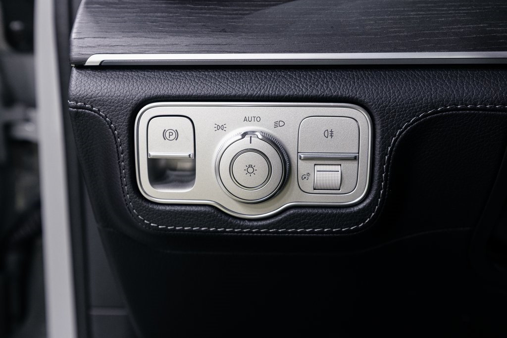 2025 MERCEDES-BENZ GLS-CLASS - Image 10