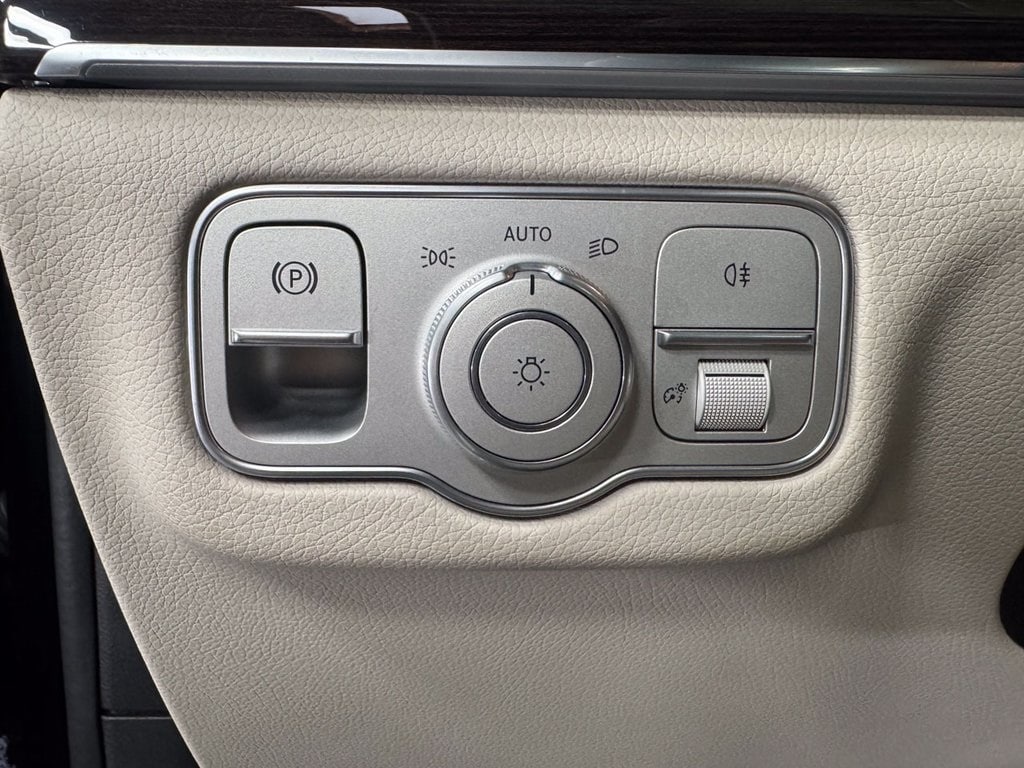 2025 MERCEDES-BENZ GLS-CLASS - Image 10