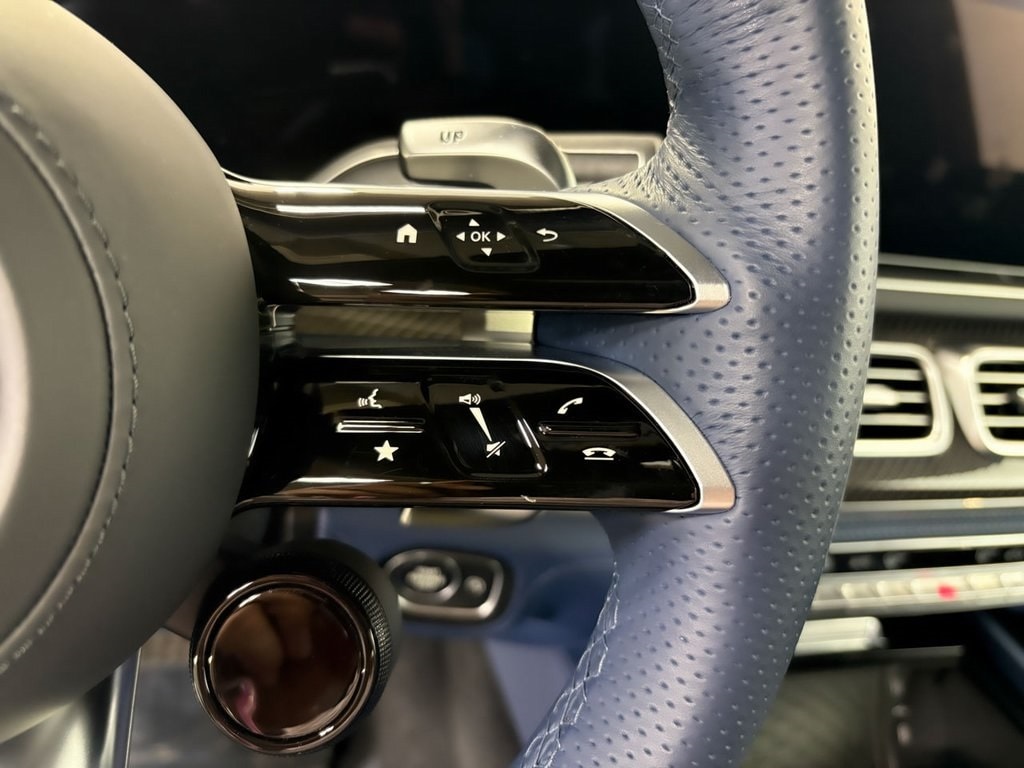 2025 MERCEDES-BENZ GLS-CLASS - Image 14