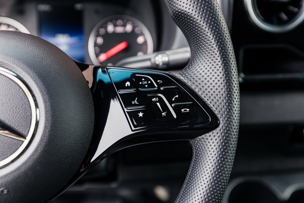 2025 MERCEDES-BENZ SPRINTER - Image 12