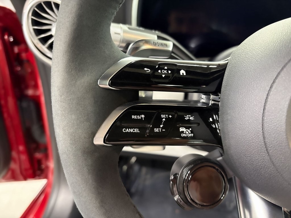 2024 MERCEDES-BENZ AMG GT - Image 12