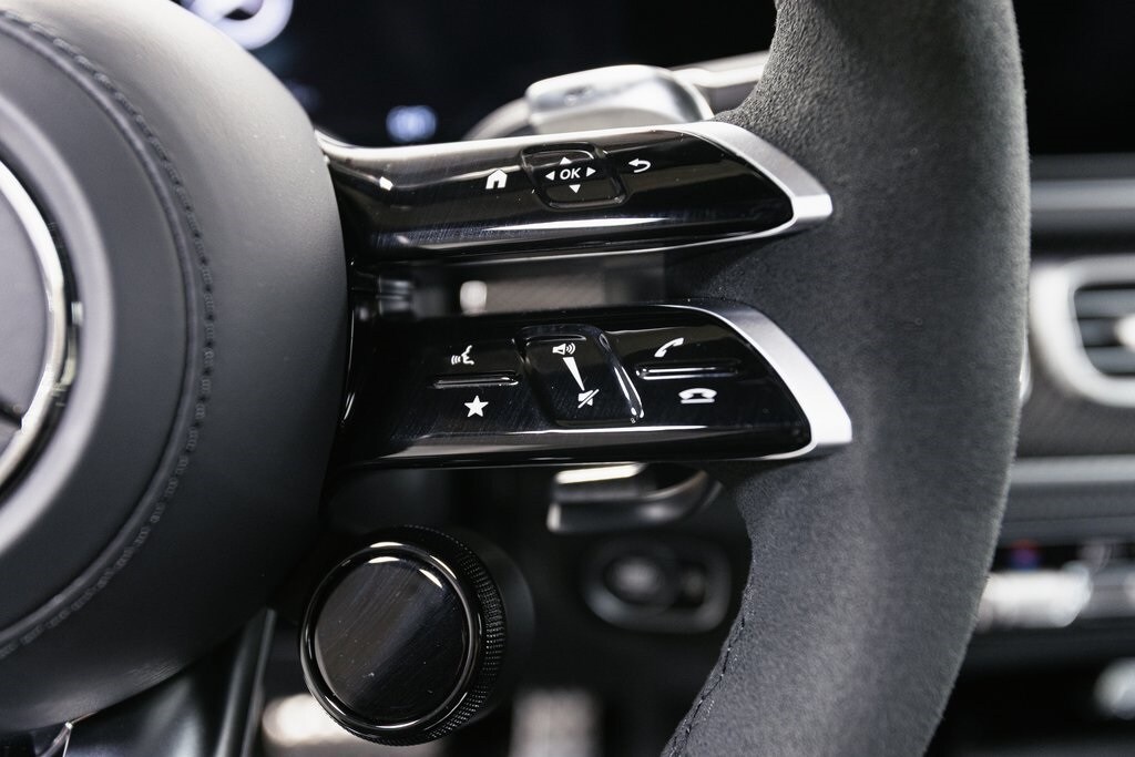 2025 MERCEDES-BENZ GLS-CLASS - Image 13