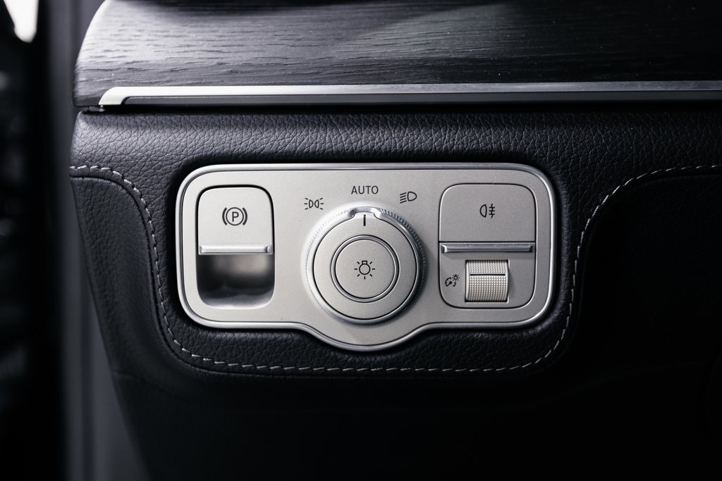 2025 MERCEDES-BENZ GLS-CLASS - Image 10