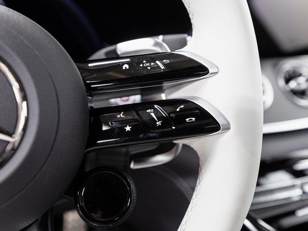 2024 MERCEDES-BENZ AMG GT - Image 13