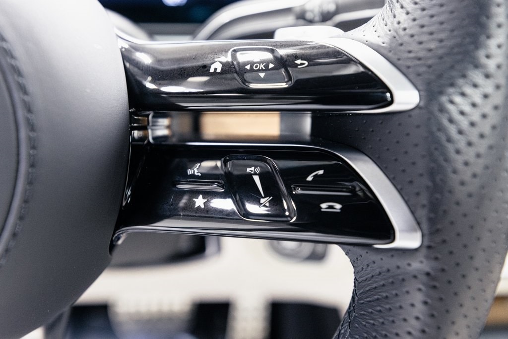 2025 MERCEDES-BENZ GLS-CLASS - Image 13